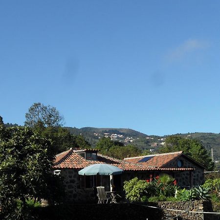 Finca Cueva Del Viento Icod De Los Vinos Δωμάτιο φωτογραφία