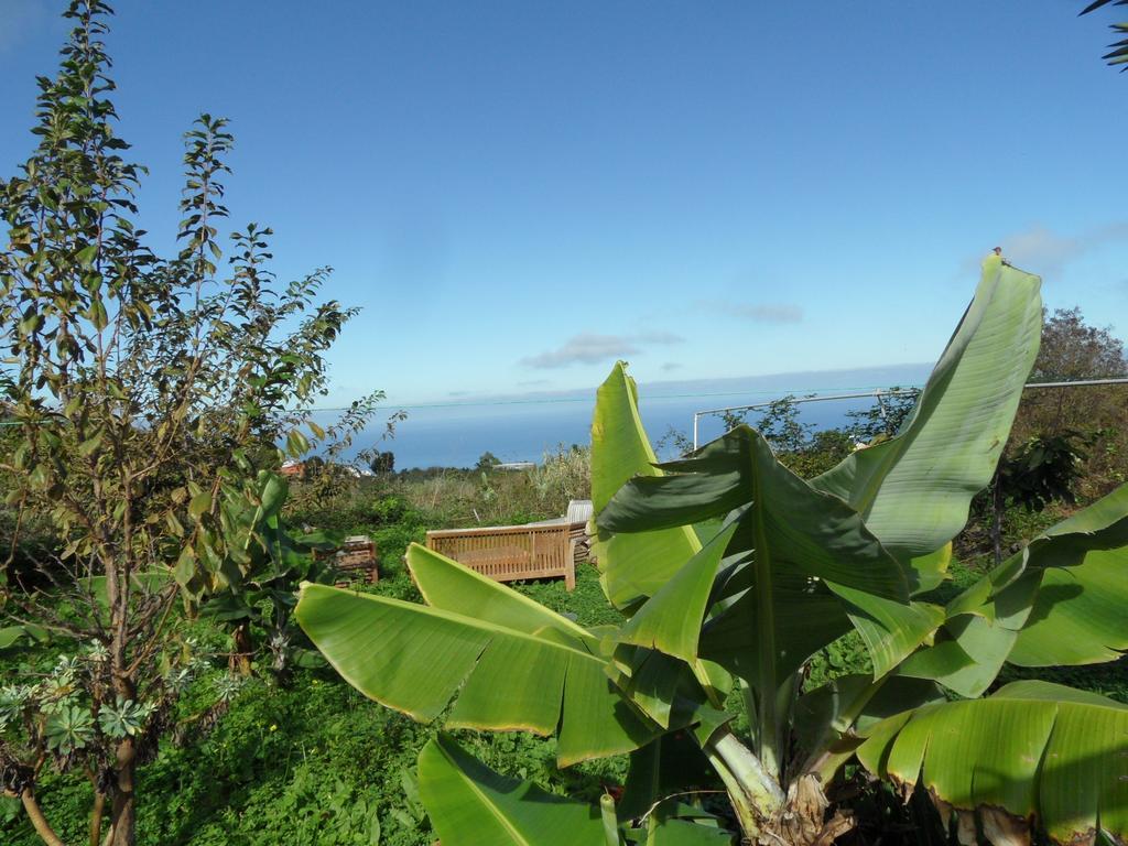 Finca Cueva Del Viento Icod De Los Vinos Δωμάτιο φωτογραφία