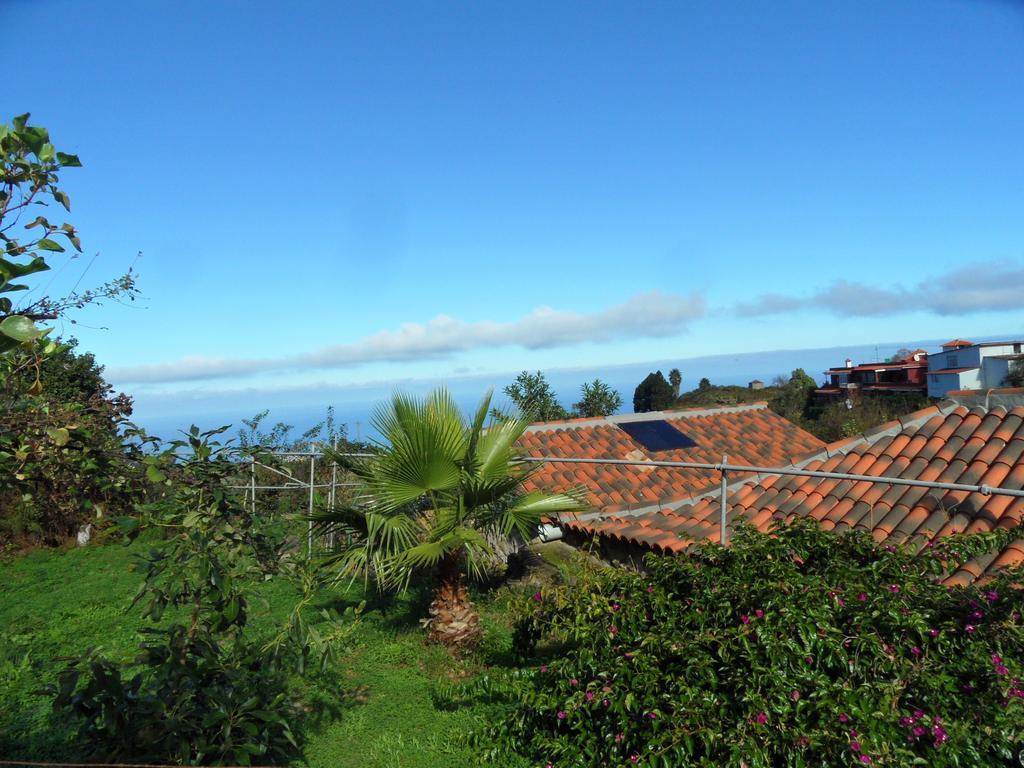 Finca Cueva Del Viento Icod De Los Vinos Δωμάτιο φωτογραφία